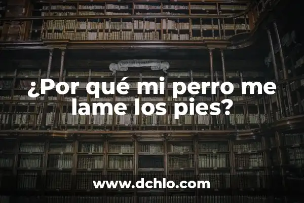 Como hacer para que mi perro no ladre en casa 3 ¿Por qué mi perro me lame los pies?