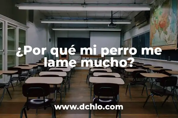 Como hacer para que mi perro no ladre en casa 5 ¿Por qué mi perro me lame mucho?