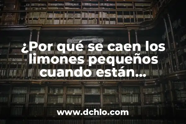 Cómo hacer shampoo sin sal 4 ¿Por qué se caen los limones pequeños cuando están maduros?
