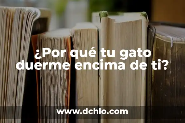 Significado de Felino 3 ¿Por qué tu gato duerme encima de ti?