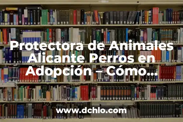 Significado de Ser una Persona Tolerante 7 Protectora de Animales Alicante Perros en Adopción – Cómo Ayudar a los Perros Abandonados