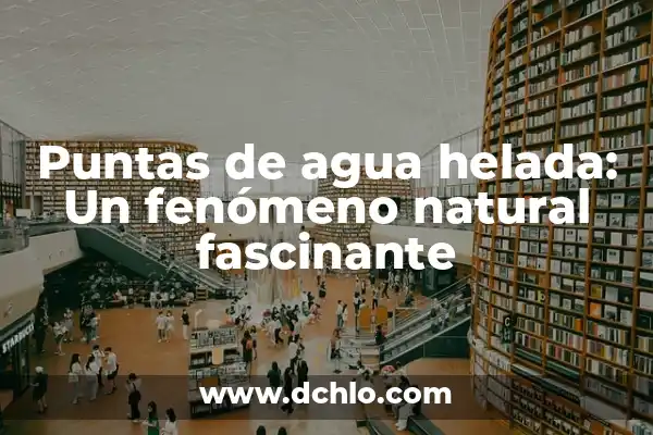 C贸mo Hacer Puntas de Filete 3 Puntas de agua helada: Un fen贸meno natural fascinante