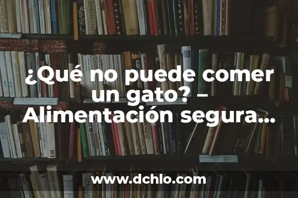 Alimentos que no debe comer un diabético: Una Guía Completa 7 ¿Qué no puede comer un gato? – Alimentación segura para felinos