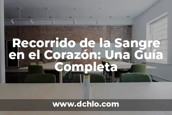 Nombres con Significado de Ayuda: Un Recorrido por la Simbología de las Nombres 7 Recorrido de la Sangre en el Corazón: Una Guía Completa
