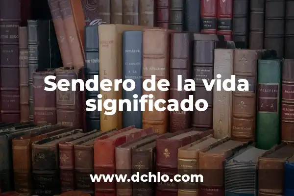 El Significado del Número 222 en el Sendero de Luz 3 Sendero de la vida significado