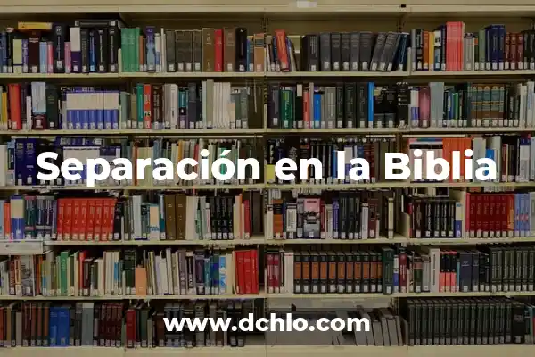 Cómo hacer análisis de una sentencia 5 Separación en la Biblia