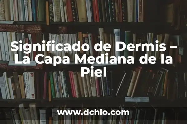 Cómo hacer pompones de piel sintética 8 Significado de Dermis – La Capa Mediana de la Piel
