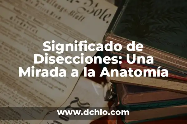 Partes de atrás de la rodilla: Anatomía y función 8 Significado de Disecciones: Una Mirada a la Anatomía