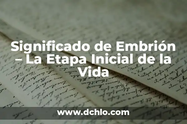 24m Periodo de Apertura Significado: La Clave del Éxito Inicial 6 Significado de Embrión – La Etapa Inicial de la Vida