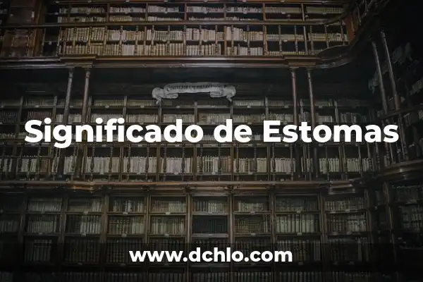 Investigar el significado de estomas 8 Significado de Estomas