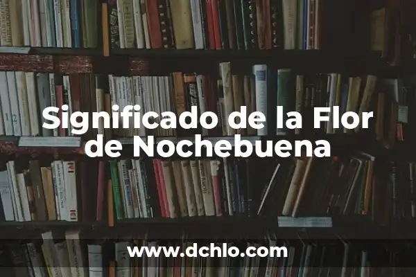 Cena en Casa de Leví Significado 8 Significado de la Flor de Nochebuena