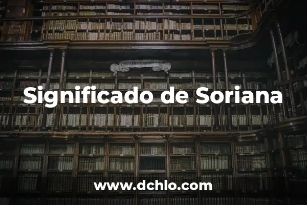 Significado del Logotipo de Soriana: Un Viaje por su Identidad Visual 5 Significado de Soriana