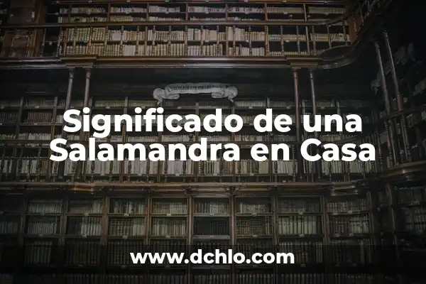 C贸mo hacer Baileys en casa 5 Significado de una Salamandra en Casa
