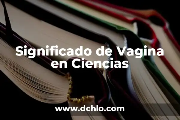 Ardor en la Vagina Remedios Naturales - Alivio Rápido y Seguro 6 Significado de Vagina en Ciencias