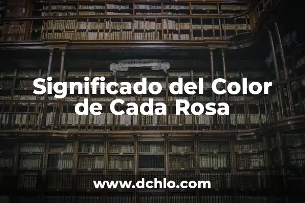 Significado de Sofía Nombre de Persona 6 Significado del Color de Cada Rosa