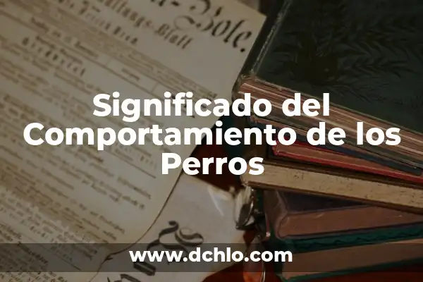 Tatuajes de Perros para Mujeres: Un Simbolismo Profundo 4 Significado del Comportamiento de los Perros