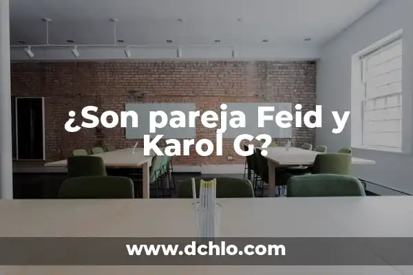 TQG Canción de Shakira y Karol G: Análisis y Significado 6 ¿Son pareja Feid y Karol G?