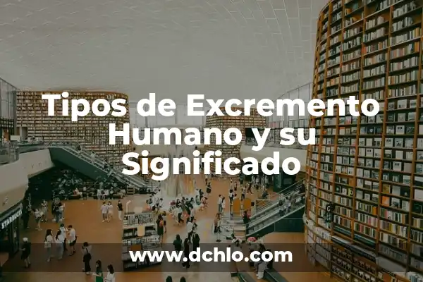 El Significado de Asentamiento Humano 7 Tipos de Excremento Humano y su Significado