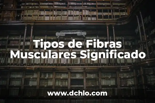 Significado de Surdo: Todo lo que Necesitas Saber 7 Tipos de Fibras Musculares Significado