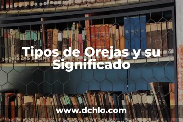 Tipos de Orejas y su Significado: Una Guía Completa 8 Tipos de Orejas y su Significado