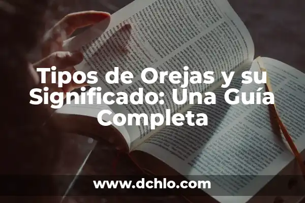 ¿Dónde Comer Cerca de Mi Ubicación Actual? - Guía Completa 8 Tipos de Orejas y su Significado: Una Guía Completa