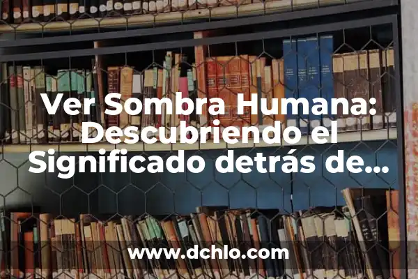 Rango de Entrada: El Concepto Fundamental en la Captura de Imágenes 4 Ver Sombra Humana: Descubriendo el Significado detrás de las Sombras