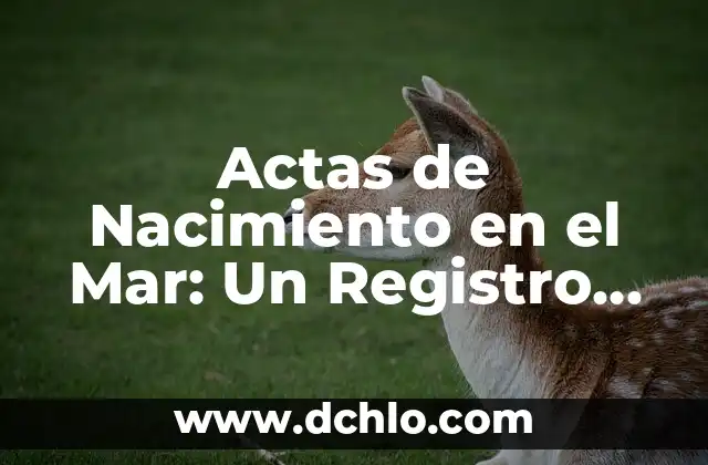 Cómo hacer actas de cooperativa en Uruguay 5 Actas de Nacimiento en el Mar: Un Registro Único