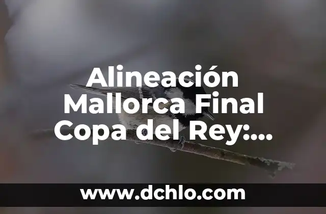 ¿De qué ha muerto el primo del Rey Felipe VI de España? 5 Alineación Mallorca Final Copa del Rey: Análisis y Previsiones