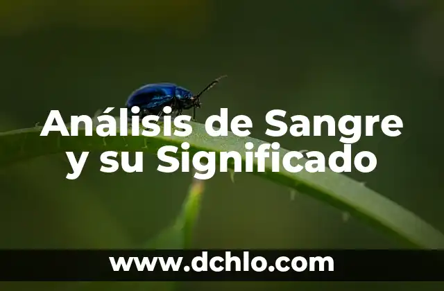 Análisis del significado de estrategia 6 Análisis de Sangre y su Significado