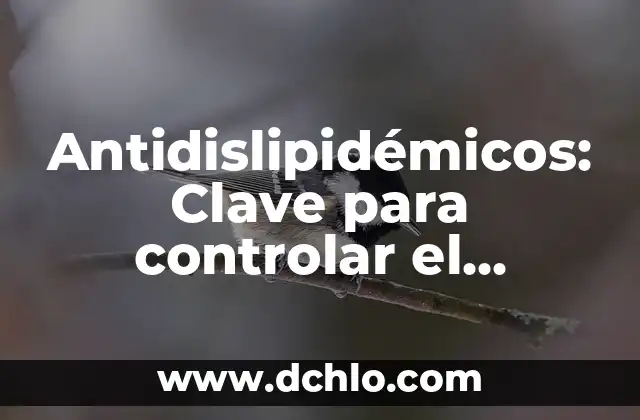 Aspectos clave de los Sofistas 5 Antidislipidémicos: Clave para controlar el colesterol