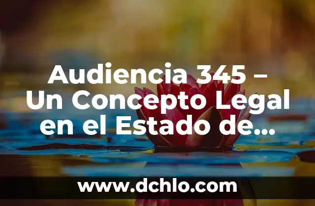 Audiencia 345 - Un Concepto Legal en el Estado de Veracruz