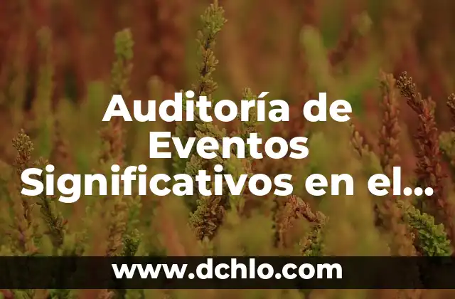 Significado Emocional de Trombosis Pulmonar 7 Auditoría de Eventos Significativos en el Contexto del Cáncer Pulmonar