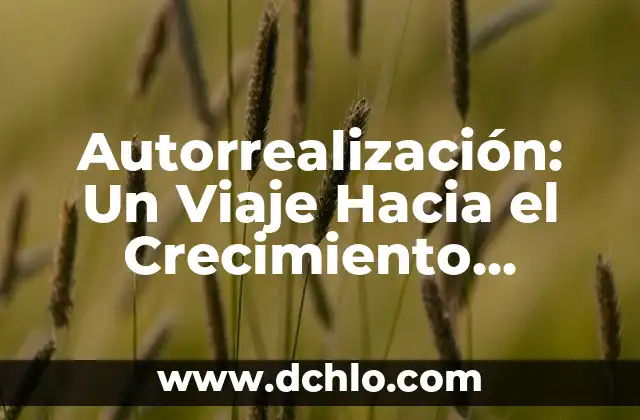 Cómo hacer un diagnóstico personal 7 Autorrealización: Un Viaje Hacia el Crecimiento Personal