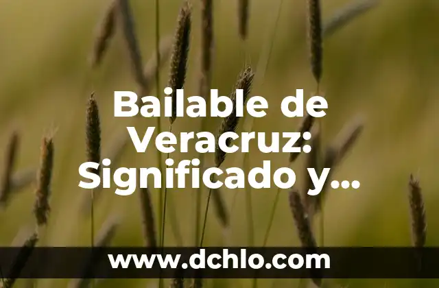 Audiencia 345 - Un Concepto Legal en el Estado de Veracruz 4 Bailable de Veracruz: Significado y Origen