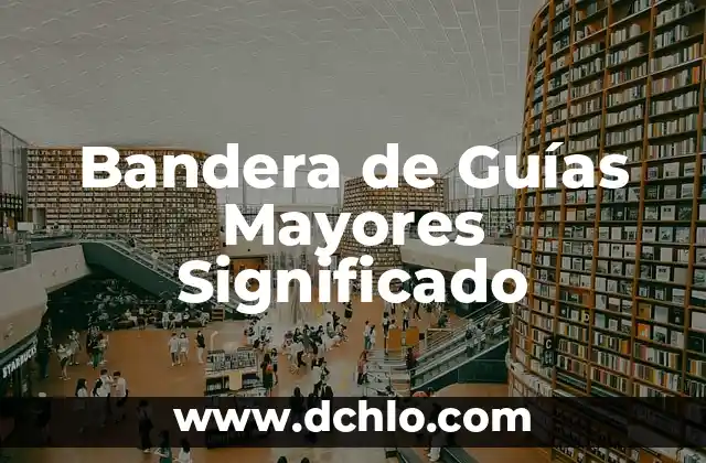 Instituto Nacional de las Personas Mayores - INAPAM 6 Bandera de Guías Mayores Significado