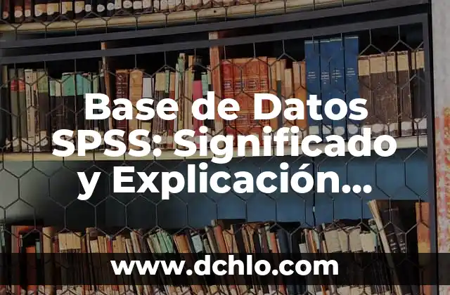 Cómo Instalar Android Auto en el Coche: Guía Detallada 5 Base de Datos SPSS: Significado y Explicación Detallada