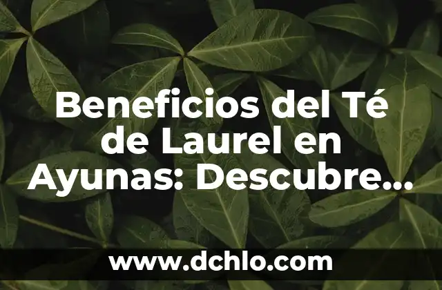 La Vitamina B12 para qué sirve: Descubre sus beneficios y importancia 4 Beneficios del Té de Laurel en Ayunas: Descubre Sus Propiedades