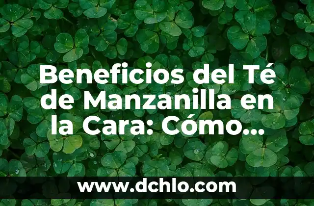¿Quién es Conchita, la ganadora de Tu Cara Me Suena? 6 Beneficios del Té de Manzanilla en la Cara: Cómo Mejorar tu Piel