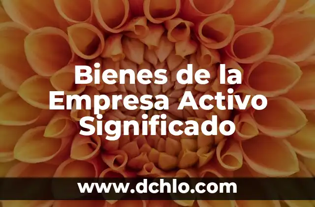 Secuestro de Bienes en México: Un Análisis Detallado 4 Bienes de la Empresa Activo Significado