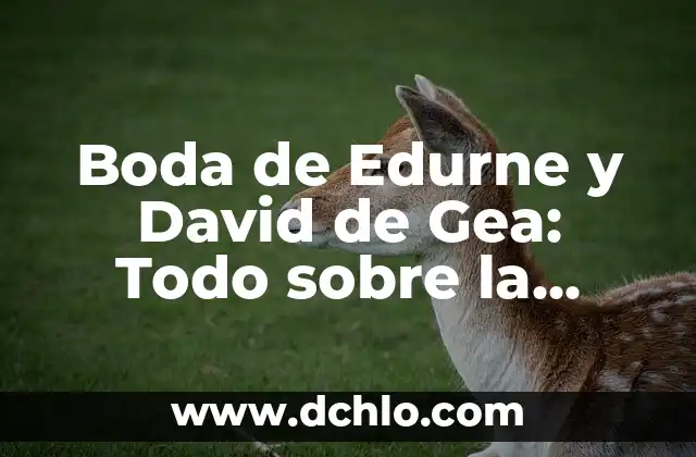 Vestidos para novias que se ponen encima de un mono para una boda tradicional y moderna 8 Boda de Edurne y David de Gea: Todo sobre la Unión del Año