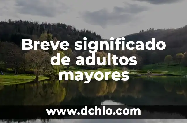 Instituto Nacional de las Personas Mayores - INAPAM 5 Breve significado de adultos mayores