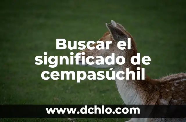 Significado de la Flor de Cempasúchil 5 Buscar el significado de cempasúchil
