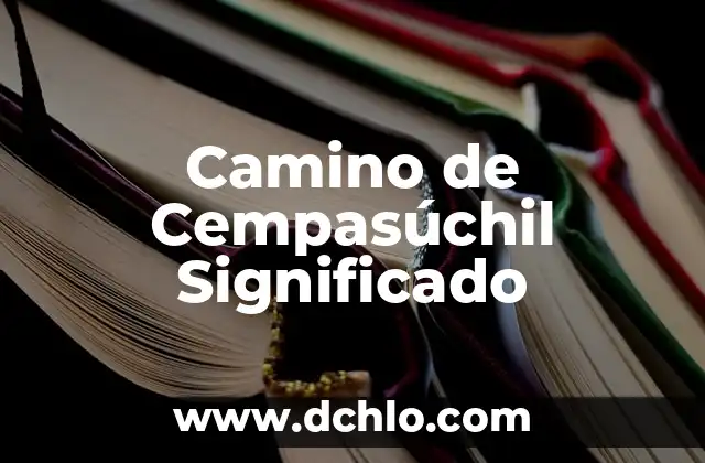 Significado de la Flor de Cempasúchil 7 Camino de Cempasúchil Significado