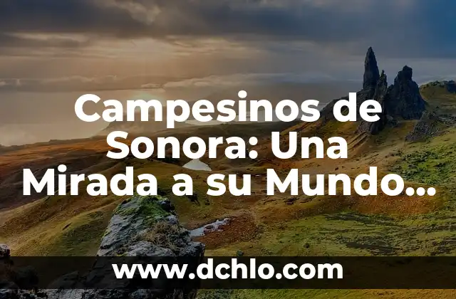 El Significado de un Mundo Conectado 4 Campesinos de Sonora: Una Mirada a su Mundo y Significado