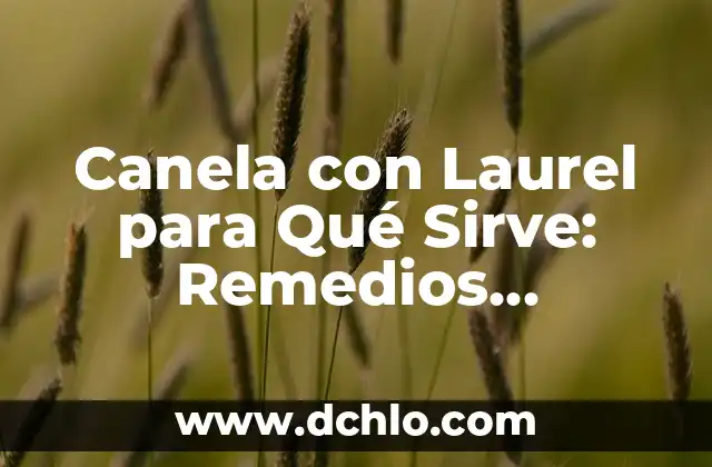 La Vitamina B12 para qué sirve: Descubre sus beneficios y importancia 7 Canela con Laurel para Qué Sirve: Remedios Naturales y Beneficios