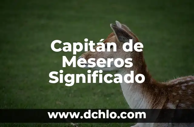 ¿Quién es el capitán del Real Madrid? 8 Capitán de Meseros Significado