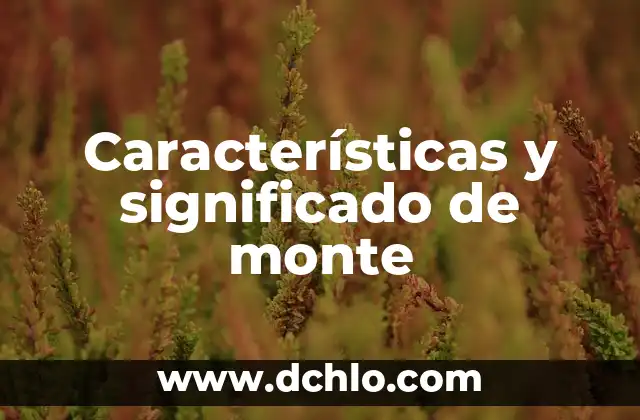 Descubriendo el significado del Monte de Efraín 5 Características y significado de monte