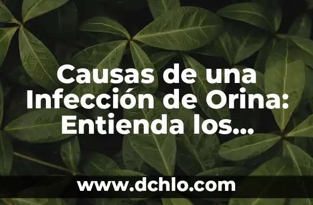 Qué puedo tomar para la infección urinaria: Tratamiento y Prevención 8 Causas de una Infección de Orina: Entienda los Riesgos y Prevención
