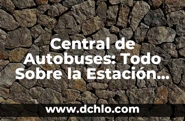 Presentador del Tiempo en la 1: Todo sobre el Profesionista que Predice el Clima 7 Central de Autobuses: Todo Sobre la Estación de Autobuses