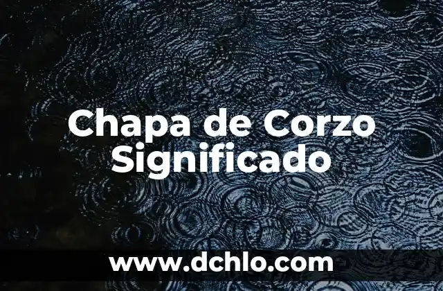 Cómo hacer techo de chapa para garage 7 Chapa de Corzo Significado